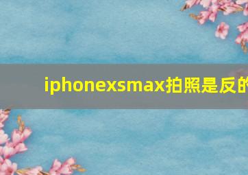 iphonexsmax拍照是反的