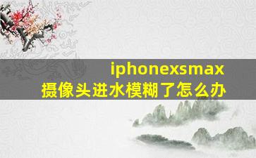 iphonexsmax摄像头进水模糊了怎么办