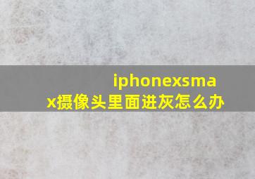 iphonexsmax摄像头里面进灰怎么办