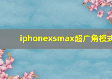 iphonexsmax超广角模式