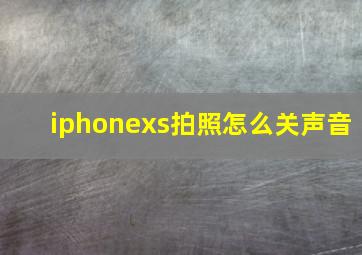 iphonexs拍照怎么关声音