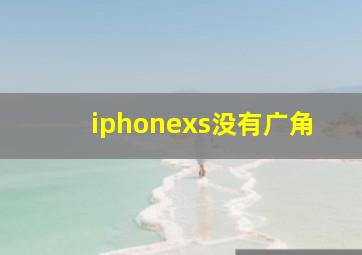 iphonexs没有广角