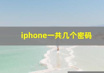 iphone一共几个密码