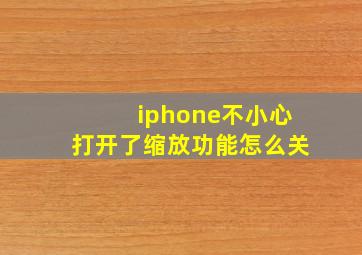 iphone不小心打开了缩放功能怎么关