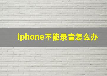 iphone不能录音怎么办