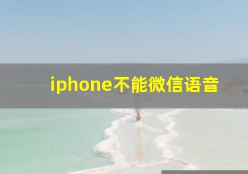 iphone不能微信语音