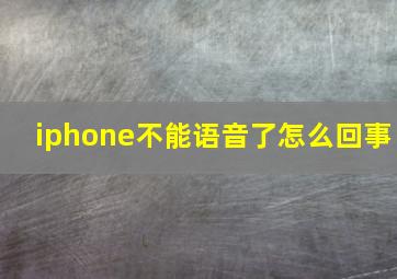 iphone不能语音了怎么回事