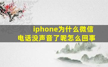 iphone为什么微信电话没声音了呢怎么回事