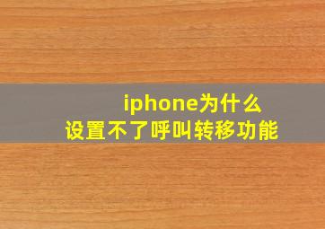 iphone为什么设置不了呼叫转移功能