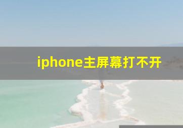 iphone主屏幕打不开