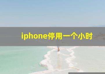 iphone停用一个小时