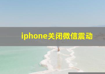 iphone关闭微信震动