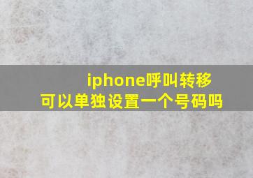 iphone呼叫转移可以单独设置一个号码吗