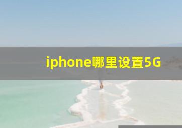 iphone哪里设置5G