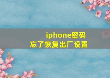 iphone密码忘了恢复出厂设置