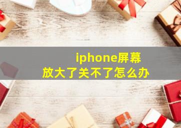 iphone屏幕放大了关不了怎么办