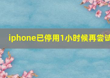 iphone已停用1小时候再尝试