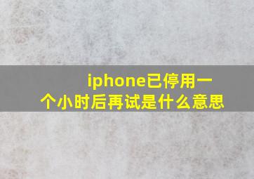 iphone已停用一个小时后再试是什么意思