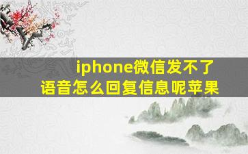 iphone微信发不了语音怎么回复信息呢苹果