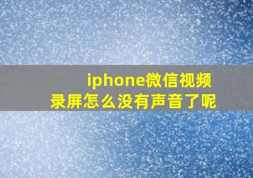 iphone微信视频录屏怎么没有声音了呢