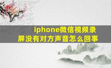 iphone微信视频录屏没有对方声音怎么回事