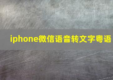 iphone微信语音转文字粤语