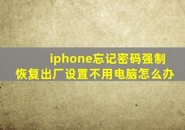 iphone忘记密码强制恢复出厂设置不用电脑怎么办