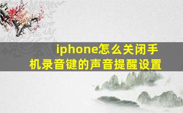 iphone怎么关闭手机录音键的声音提醒设置