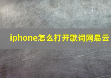 iphone怎么打开歌词网易云