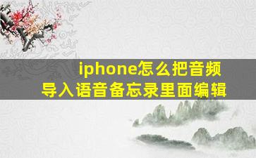 iphone怎么把音频导入语音备忘录里面编辑