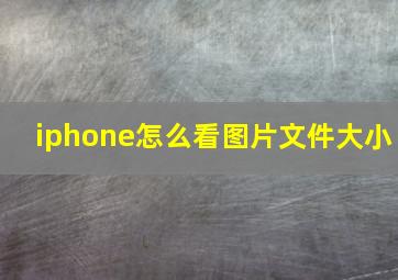 iphone怎么看图片文件大小