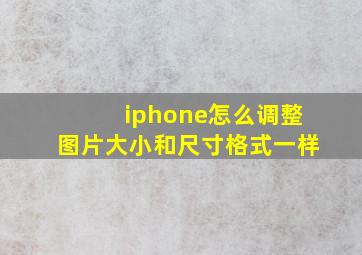 iphone怎么调整图片大小和尺寸格式一样