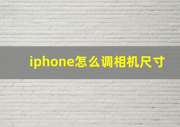 iphone怎么调相机尺寸