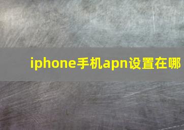 iphone手机apn设置在哪