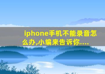 iphone手机不能录音怎么办,小编来告诉你....