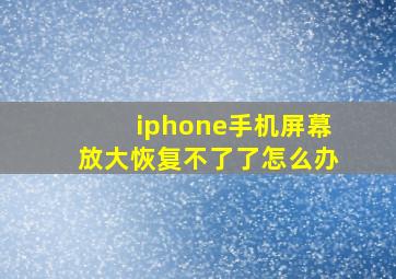 iphone手机屏幕放大恢复不了了怎么办