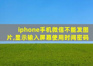 iphone手机微信不能发图片,显示输入屏幕使用时间密码