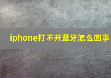 iphone打不开蓝牙怎么回事