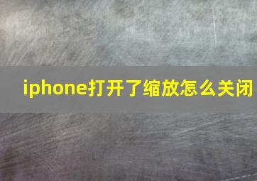 iphone打开了缩放怎么关闭