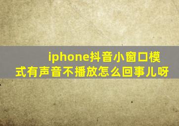 iphone抖音小窗口模式有声音不播放怎么回事儿呀