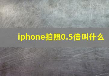 iphone拍照0.5倍叫什么