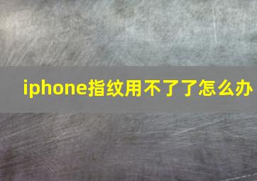 iphone指纹用不了了怎么办