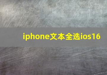 iphone文本全选ios16