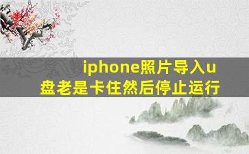 iphone照片导入u盘老是卡住然后停止运行