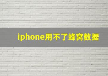 iphone用不了蜂窝数据