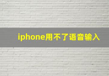 iphone用不了语音输入