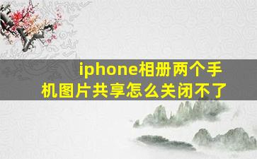 iphone相册两个手机图片共享怎么关闭不了