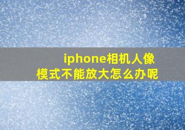 iphone相机人像模式不能放大怎么办呢