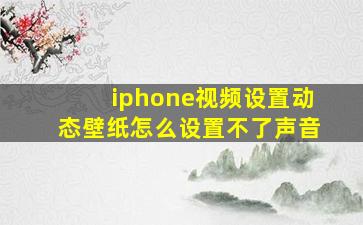 iphone视频设置动态壁纸怎么设置不了声音