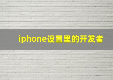 iphone设置里的开发者